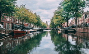 8d815af1134e122199fe30bc3c39db3a58c3ed13